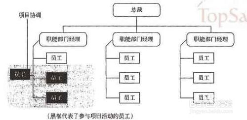 系統集成項目管理工程師考試